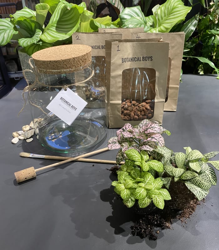 The kit terrarium starter kit plant lover nature great craft night create  own ecosystems