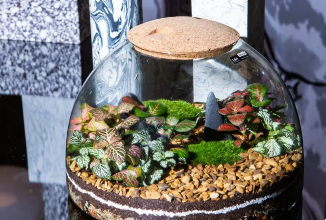 3 Beautiful Closed Terrarium Design Ideas – littlegren