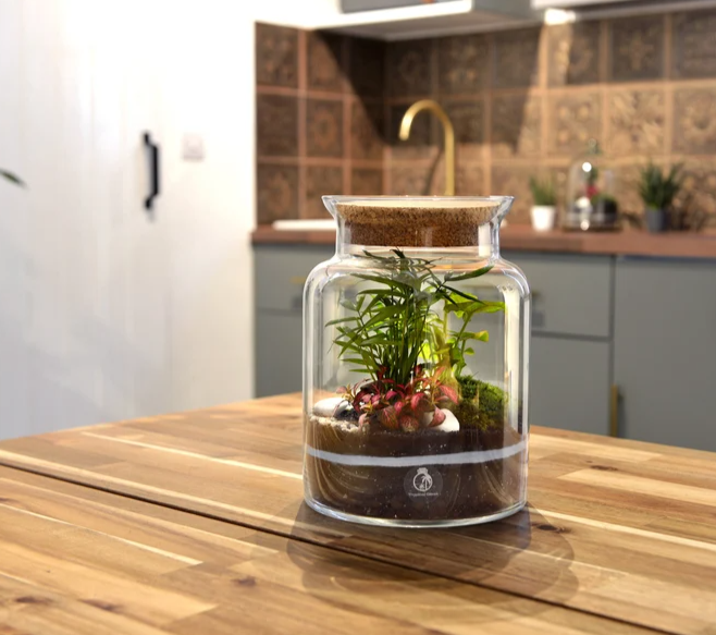 DIY Moss Terrarium for Teams, Online class & kit