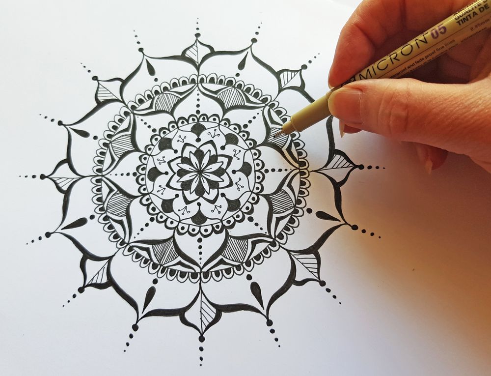 Top 7 Cute Drawing Ideas for Beginners