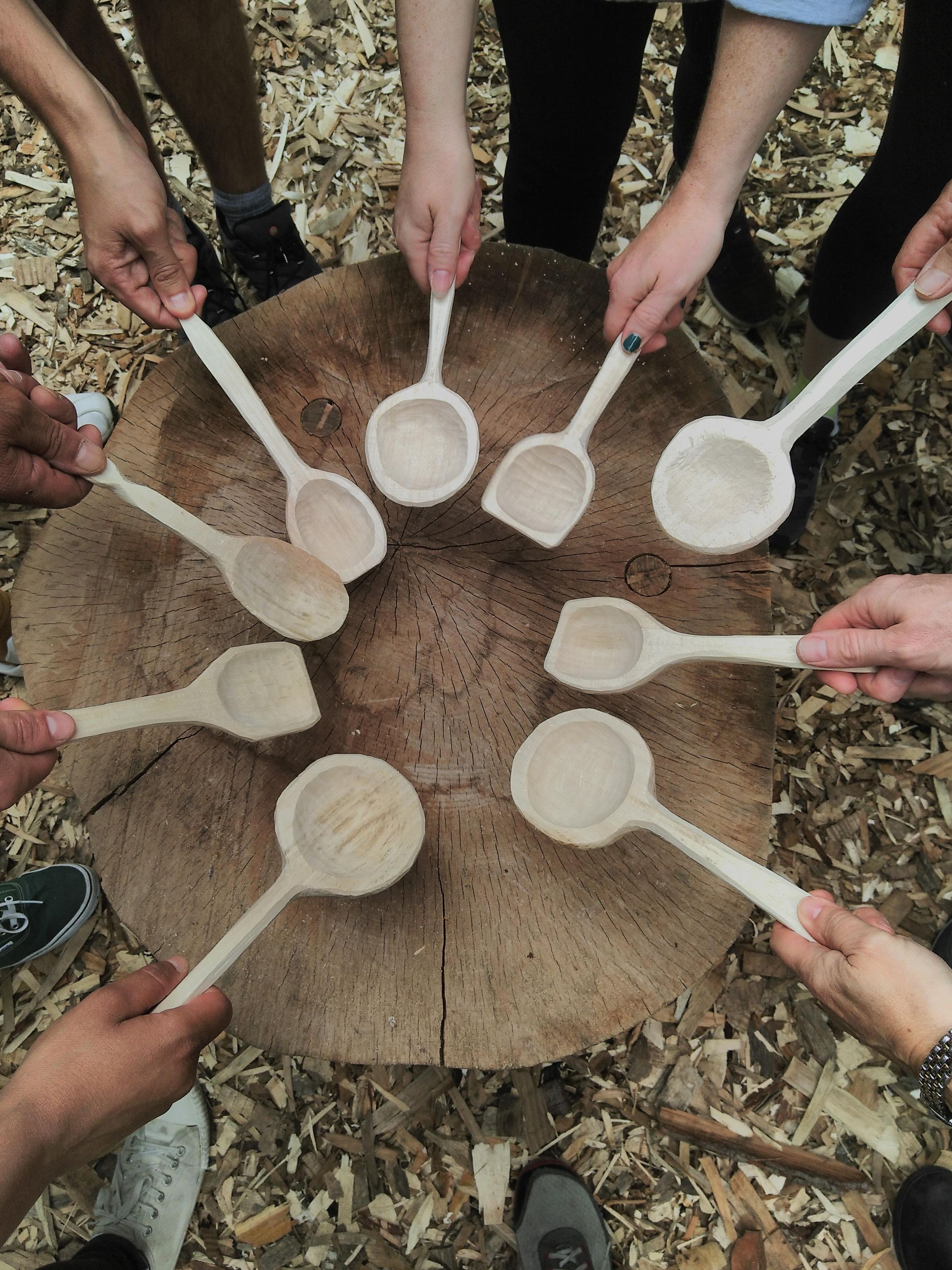 Top 8 Best Wood Carving Kits (Beginners Starter Sets)